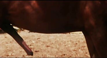 রাশিয়ান bitches পুল মধ্যে বলছি সঙ্গে একটি নববর্ষের বাংলা সেক্সি বিএফ প্রাক্কালে পায়ূ বেলেল্লাপনা আছে