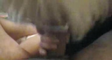 যৌন দম্পতি