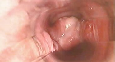 প্রতিবেশী একটি তরুণ প্রতিবেশীর পাছায় বিএফ সেক্সি বিএফ ভিডিও doggystyle bangs